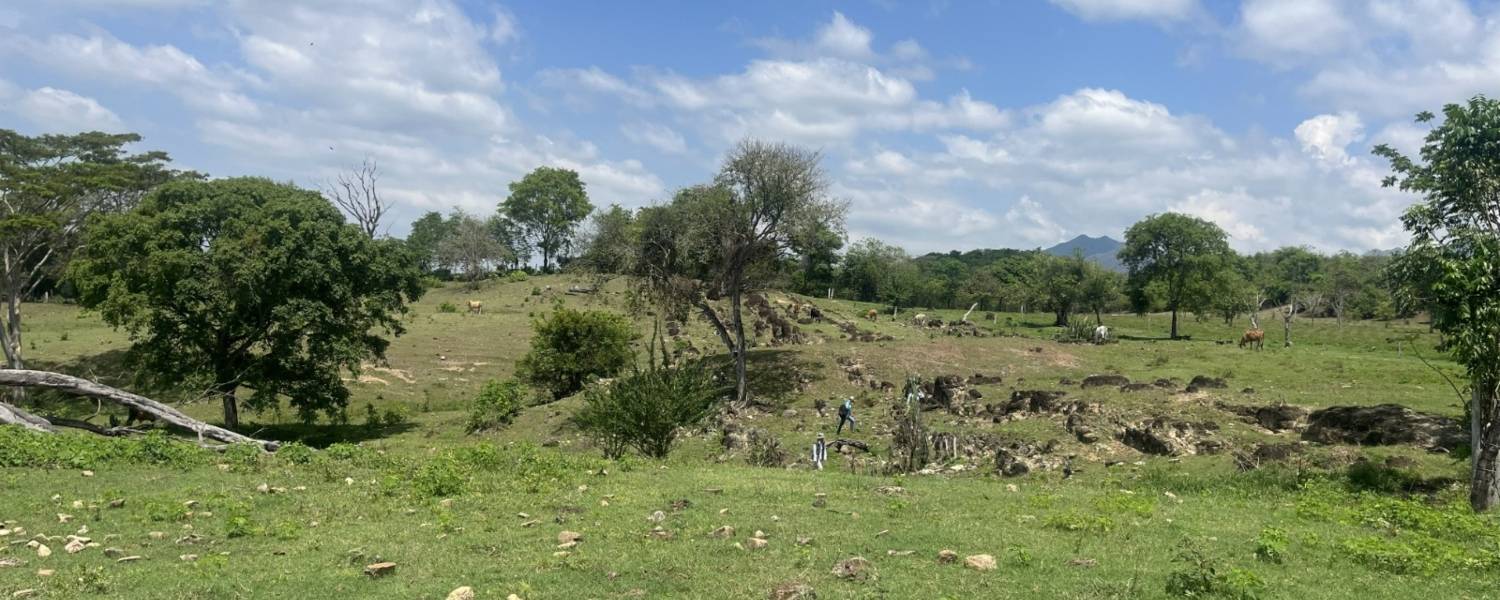Imagen de referencia del proyecto Parques Fotovoltaicos Turpiales y Los Nogales en Río de Oro